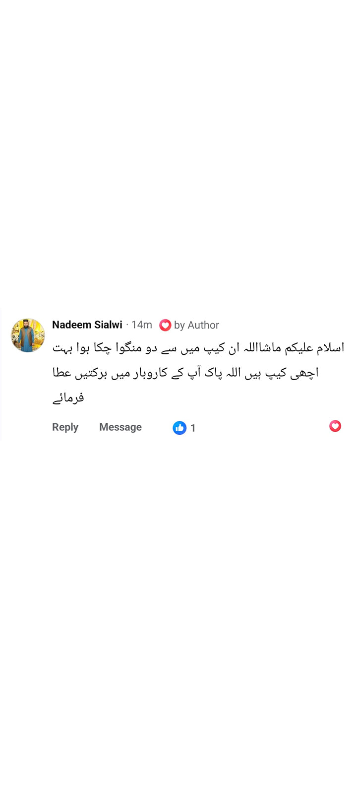 Customer Review Screenshot